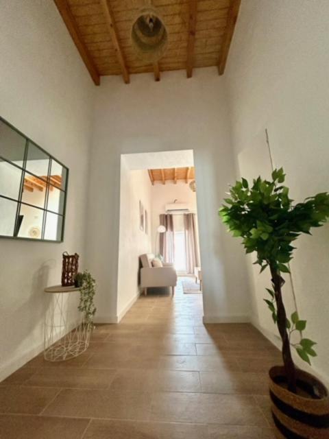 Gatu Casa Solera, Un Lugar Unico, "Preferente Para Mayores De 25 Anos Y Familias " El Puerto de Santa María Exteriér fotografie