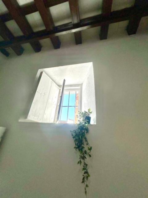Gatu Casa Solera, Un Lugar Unico, "Preferente Para Mayores De 25 Anos Y Familias " El Puerto de Santa María Exteriér fotografie